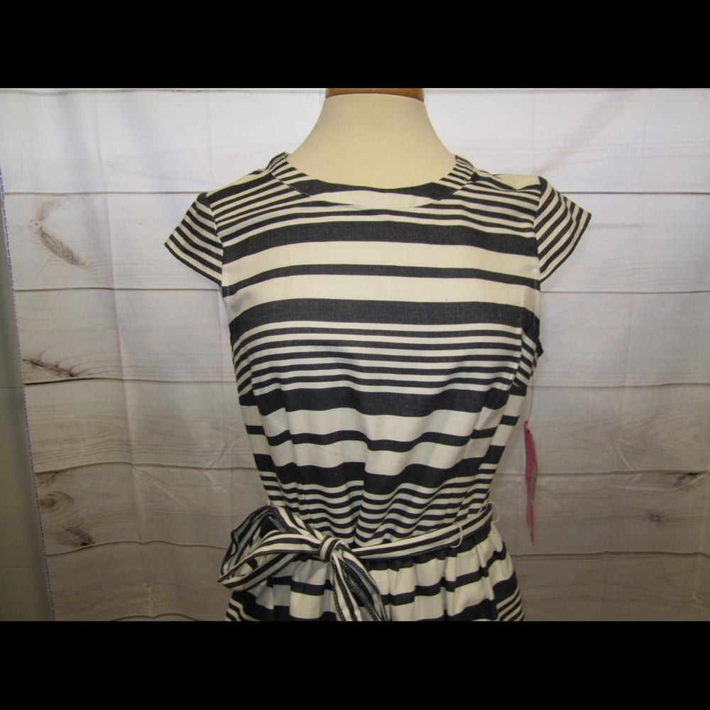 NWT Betsy Johnson Striped A Line Dress Sz 12 - Picture 2 of 8